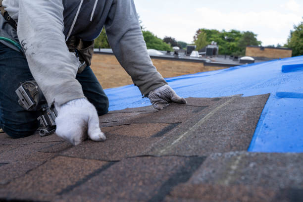 Best Shingle Roofing Installation  in Coldwater, MS